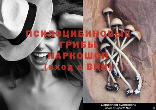 метадон Киреевск